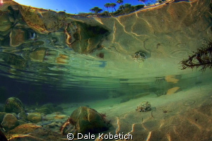 Afternoon tide pool reflections..Laguna Beach  home brew ... by Dale Kobetich 